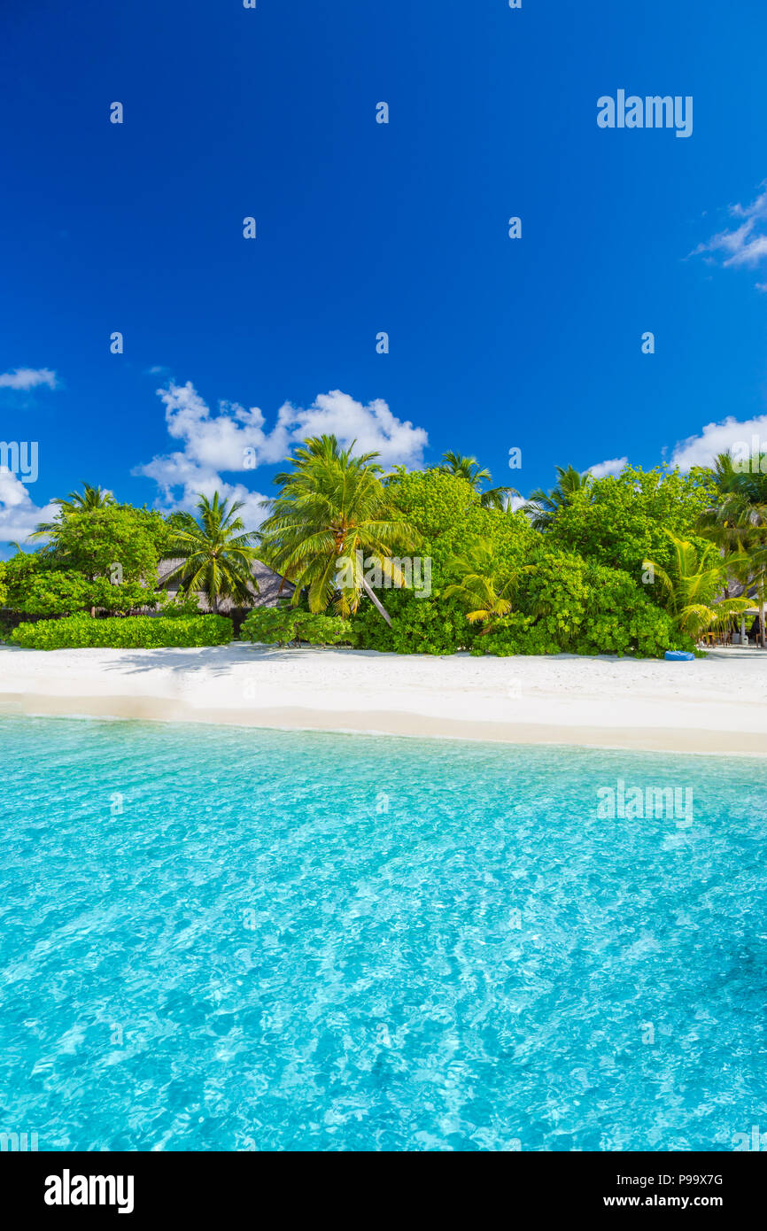 Bellissima spiaggia con palme e moody sky. Estate vacanze Viaggi Vacanze il concetto di sfondo. Maldive Paradise Beach. Luxury Travel design Foto Stock