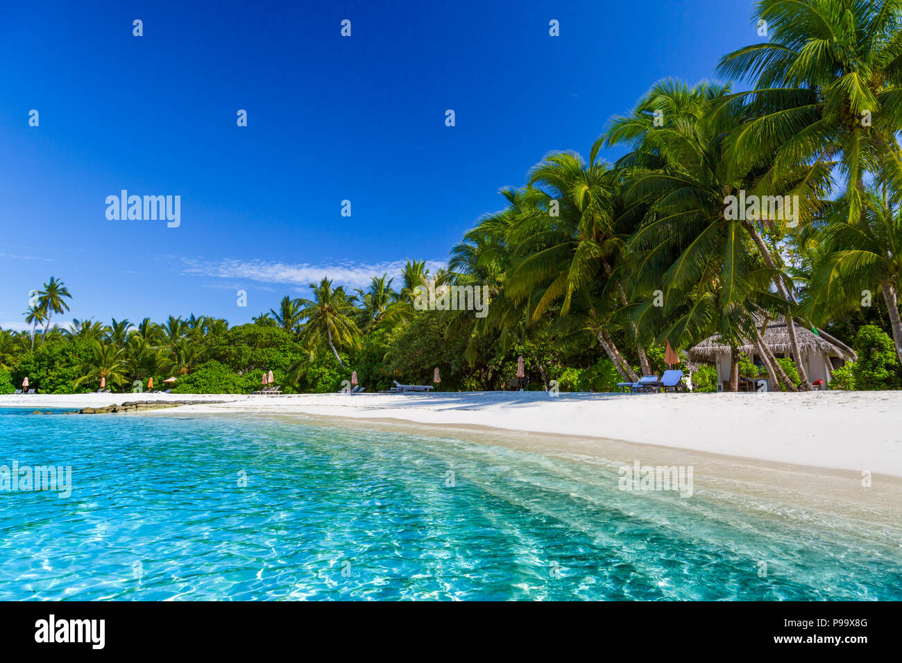 Bellissima spiaggia con palme e moody sky. Estate vacanze Viaggi Vacanze il concetto di sfondo. Maldive Paradise Beach. Luxury Travel design Foto Stock