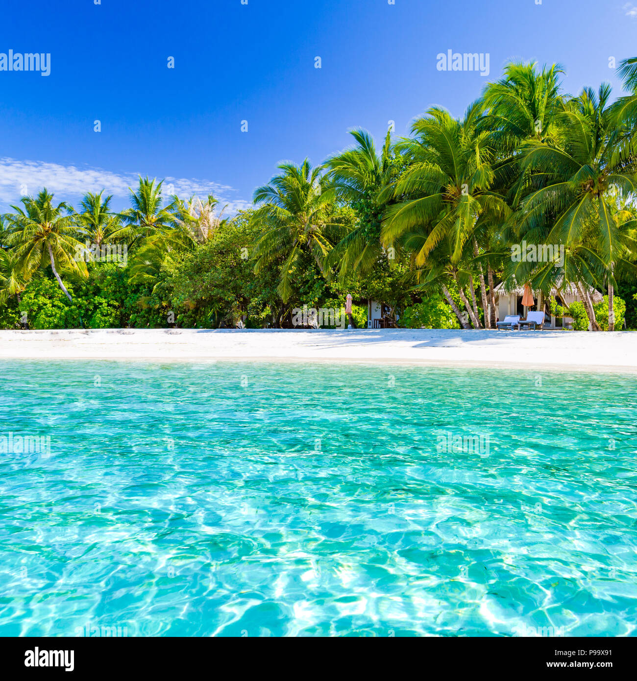 Bellissima spiaggia con palme e moody sky. Estate vacanze Viaggi Vacanze il concetto di sfondo. Maldive Paradise Beach. Luxury Travel design Foto Stock
