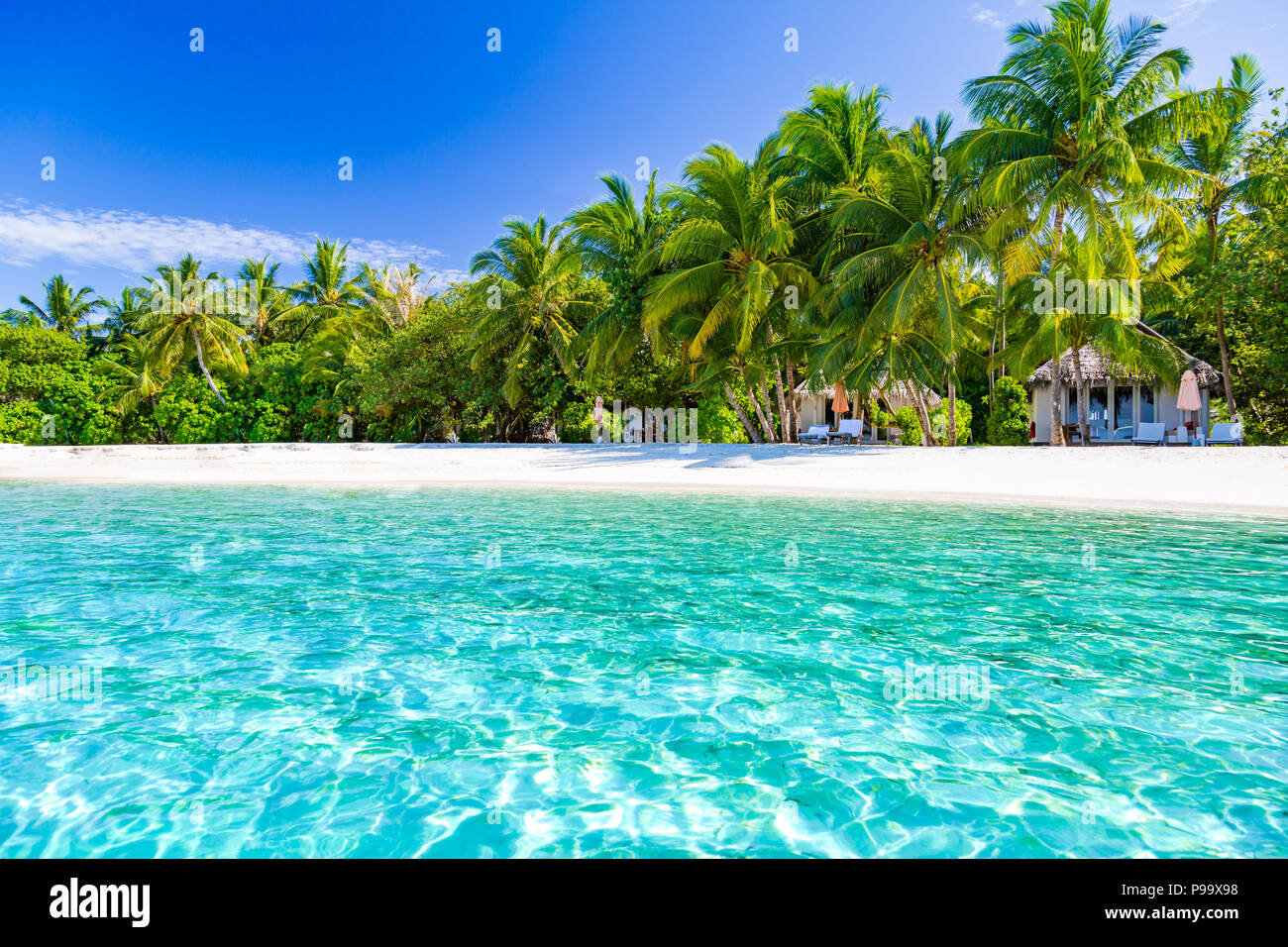 Bellissima spiaggia con palme e moody sky. Estate vacanze Viaggi Vacanze il concetto di sfondo. Maldive Paradise Beach. Luxury Travel design Foto Stock