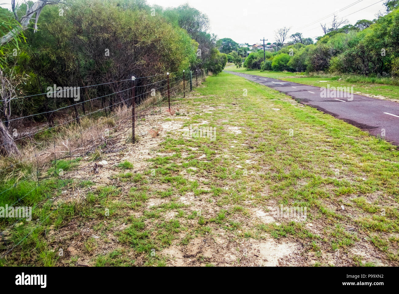 Fake recinto elettrico nel parco Yellagonga, Joondalup, Perth, W. Australia Foto Stock