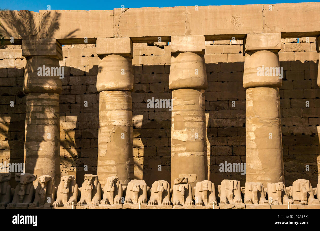 Rovinato sfingi in una linea in colonnato con il papiro di arenaria le colonne del tempio, Tempio di Karnak. Luxor, Egitto, Africa Foto Stock