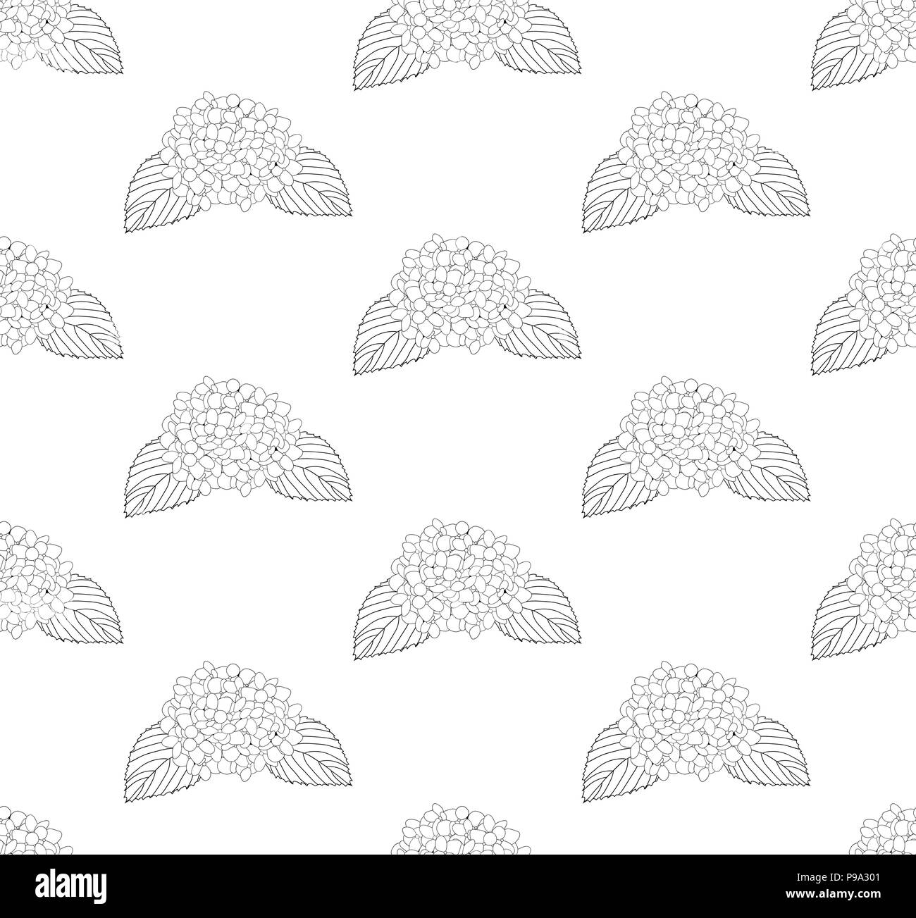 Fiore di ortensie Seamless su sfondo bianco. Illustrazione Vettoriale. Illustrazione Vettoriale