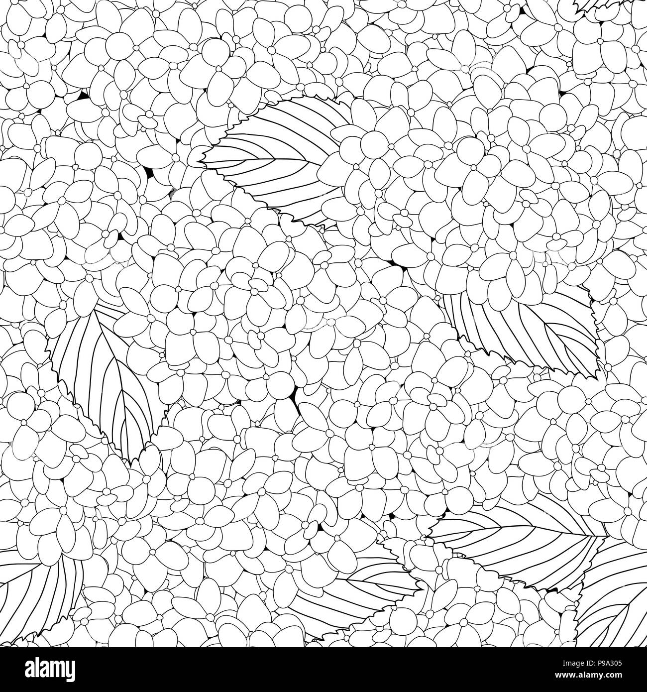 Fiore di ortensie Seamless su sfondo bianco. Illustrazione Vettoriale. Illustrazione Vettoriale