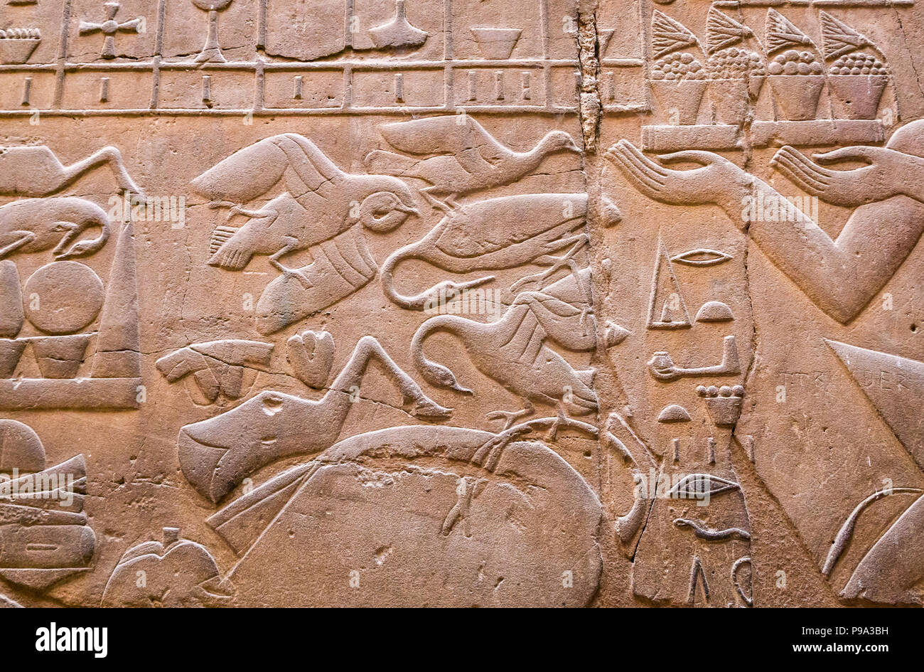 Close up dettaglio degli antichi Egiziani hieroglyph, Tempio di Luxor Luxor Egitto, Africa dotate di uccelli Foto Stock