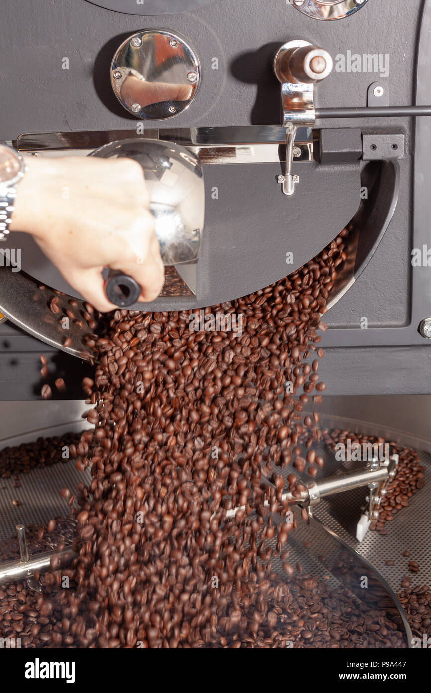 I chicchi di caffè dopo il processo di tostatura Foto Stock