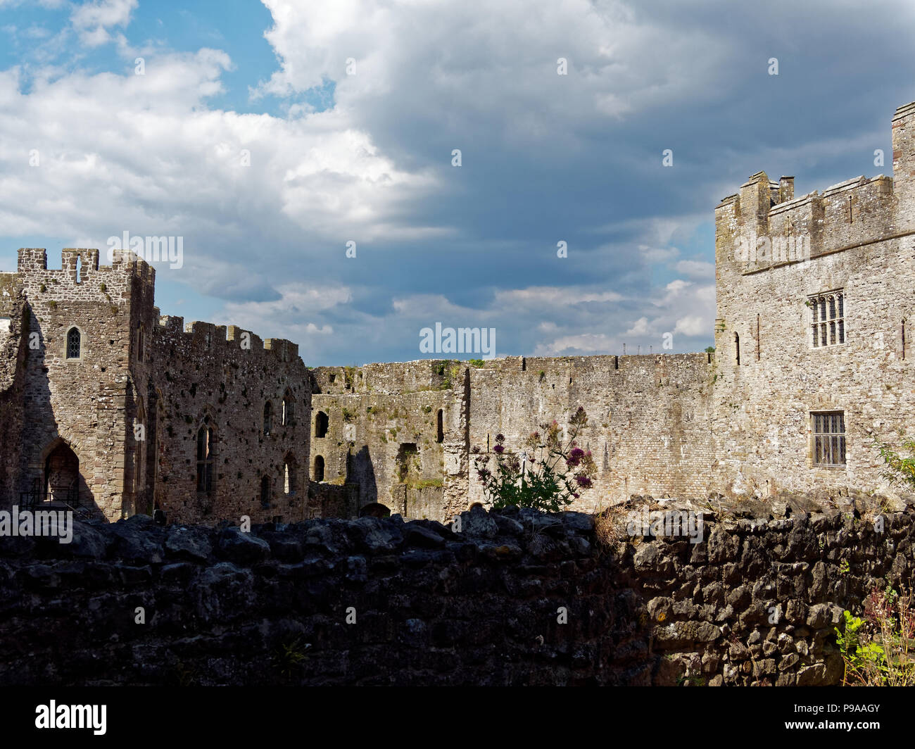 Chepstow Castle, Gwent, Monmouthshire. Regno Unito Foto Stock