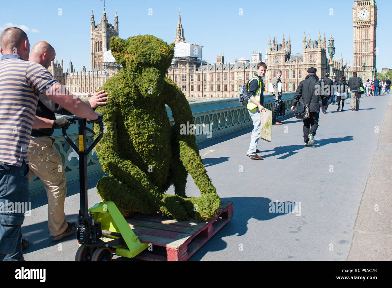 Londra, Regno Unito. Il 24 maggio 2016. Cinque a sei piedi di installazioni di scimmia sono posizionati su Westminster Bridge per aiutare a lanciare il corpo del negozio Bio-Bridges nuovo Foto Stock