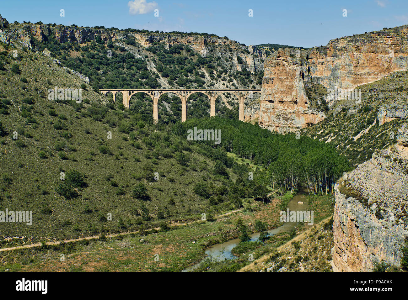 Parco naturale di Hoces del Río Riaza, provincia di Segovia, Castilla y Leon, Spagna, Europa Foto Stock