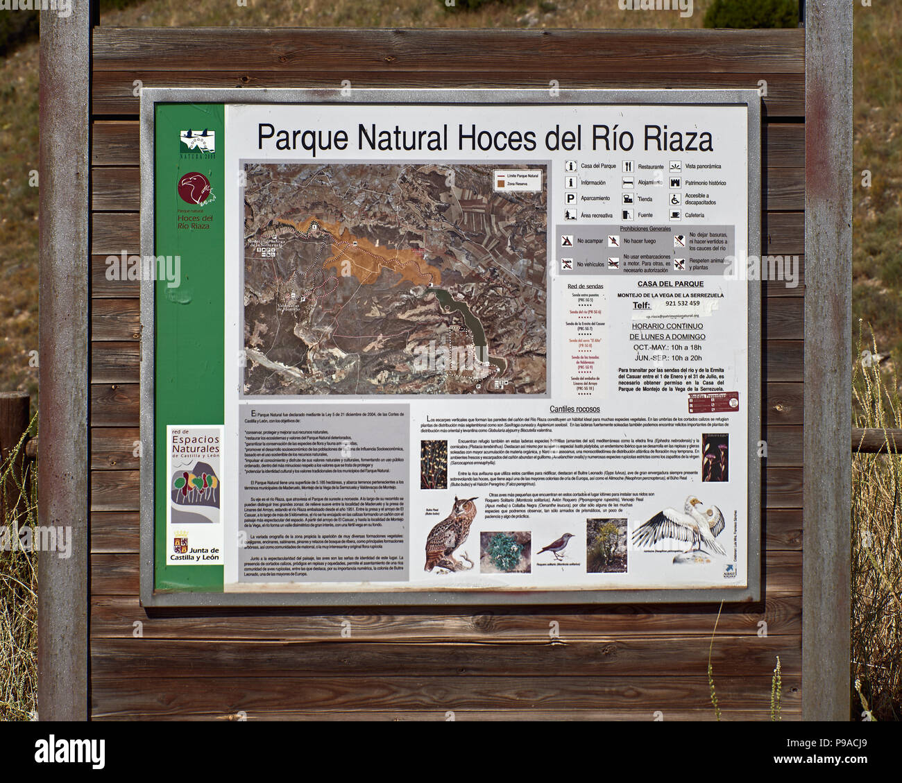 Parco naturale di Hoces del Río Riaza, provincia di Segovia, Castilla y Leon, Spagna, Europa Foto Stock