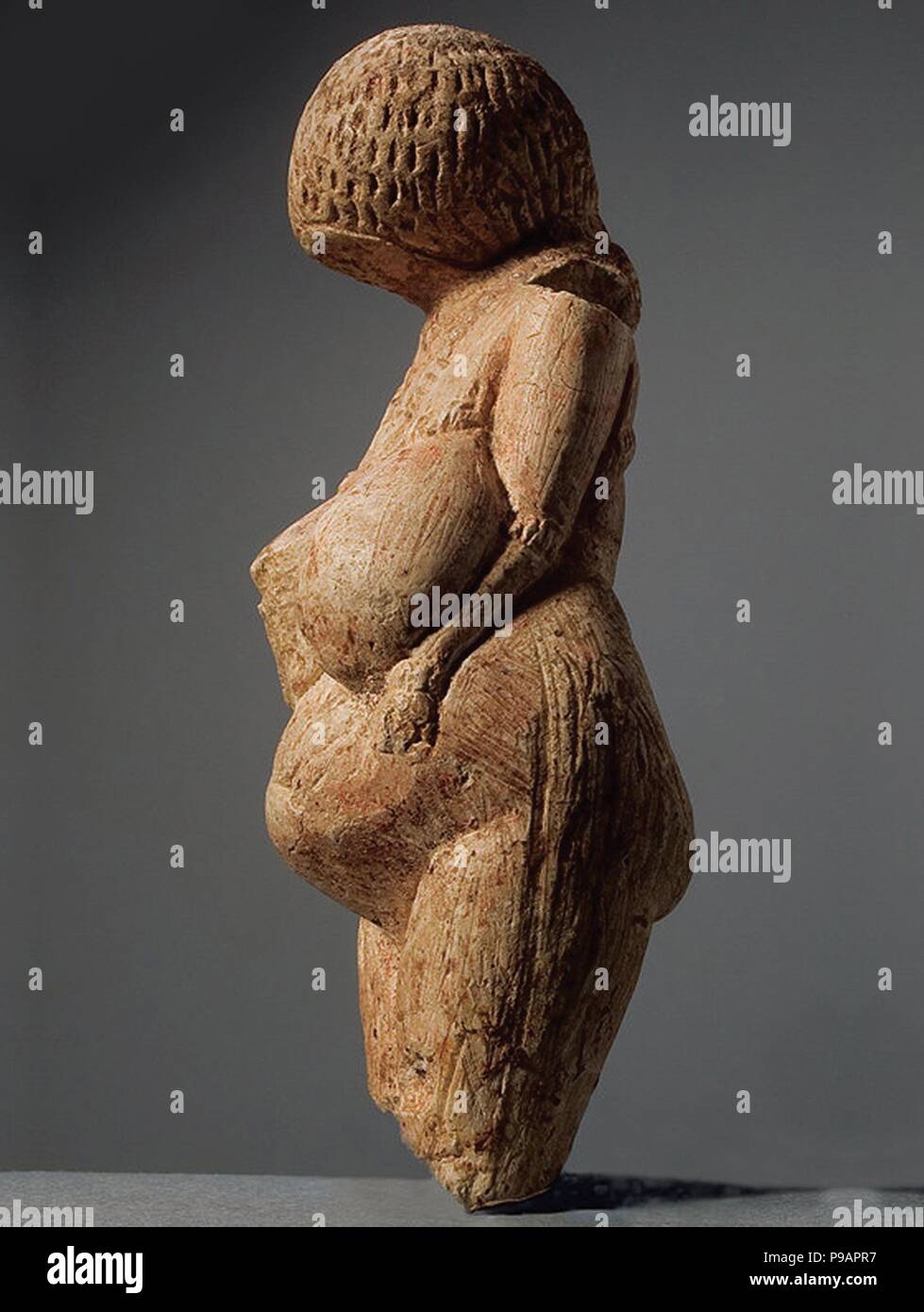 Statuetta femminile (Venere di Kostenki). Museo: Membro Hermitage di San Pietroburgo. Foto Stock