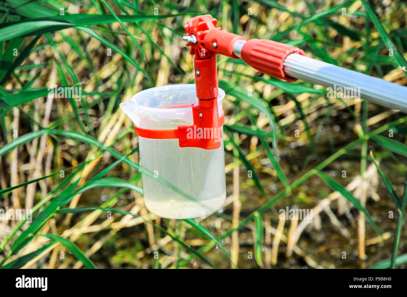 Prelevare campioni di acqua per le prove di laboratorio. Il concetto - analisi della purezza dell'acqua, ambiente, ecologia. Foto Stock
