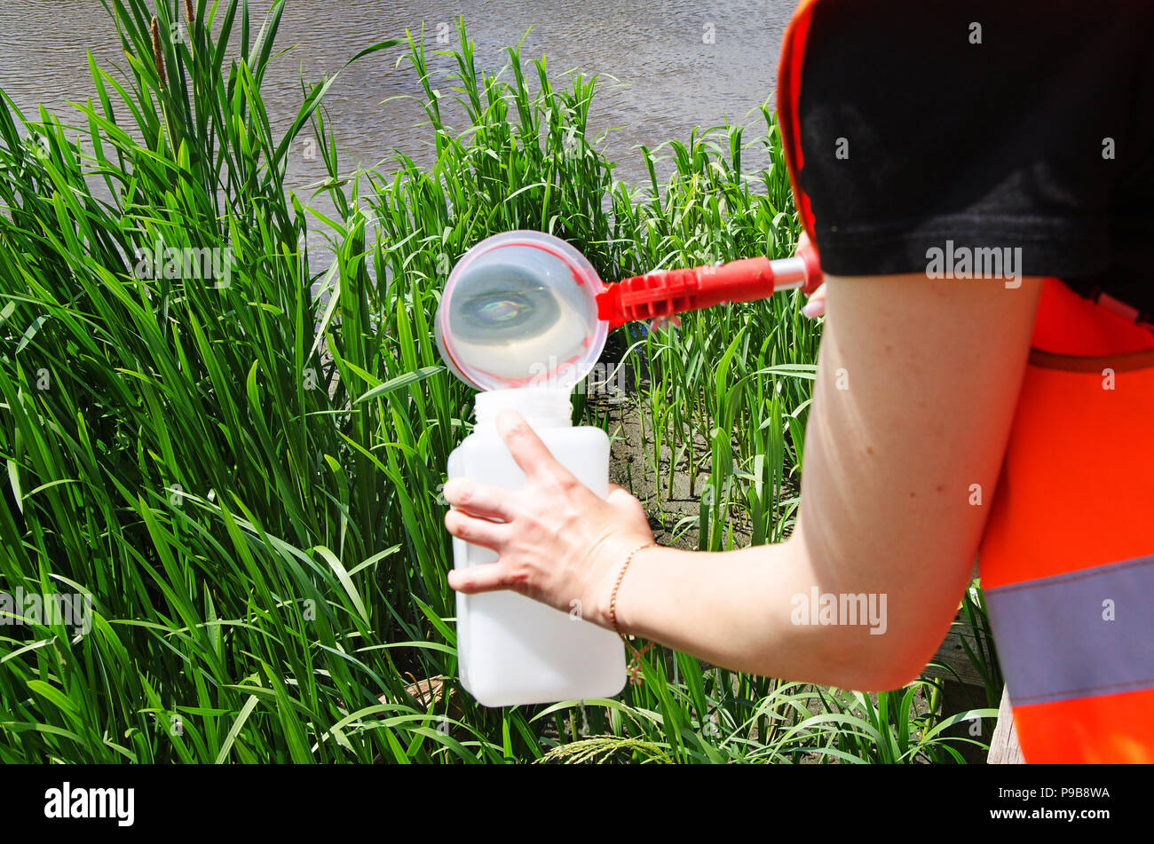 Prelevare campioni di acqua per le prove di laboratorio. Il concetto - analisi della purezza dell'acqua, ambiente, ecologia. Foto Stock