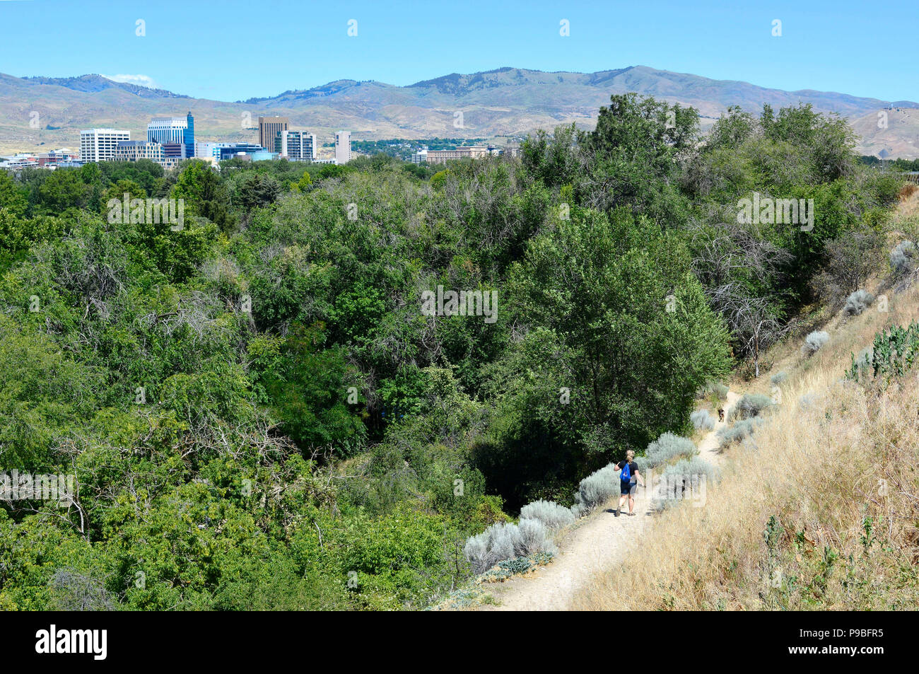 Boise Sentieri Foto Stock