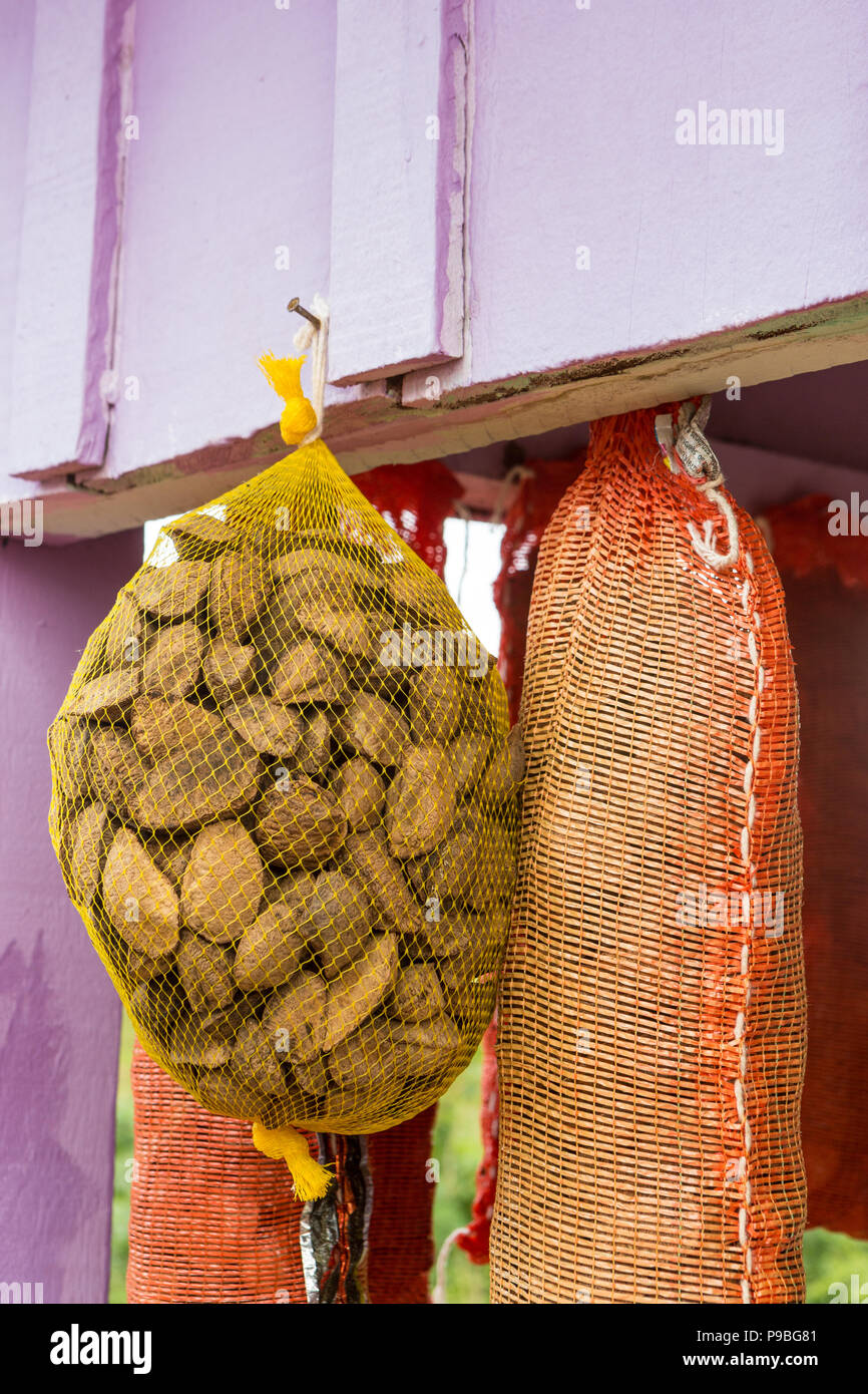 Pará, Brasile. Close up di noci del Brasile per la vendita in fiera di strada in Amazzonia. Foto Stock