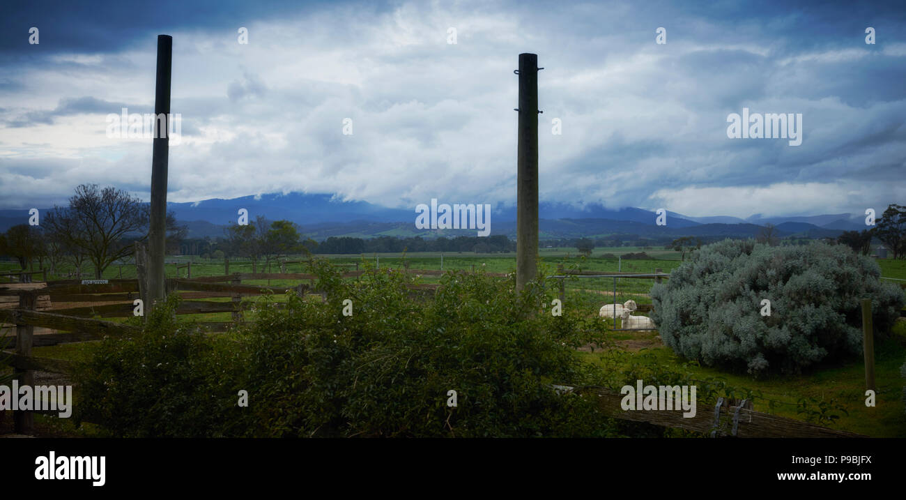 Una vista della terra dall'interno della Yarra Valley Dairy Foto Stock