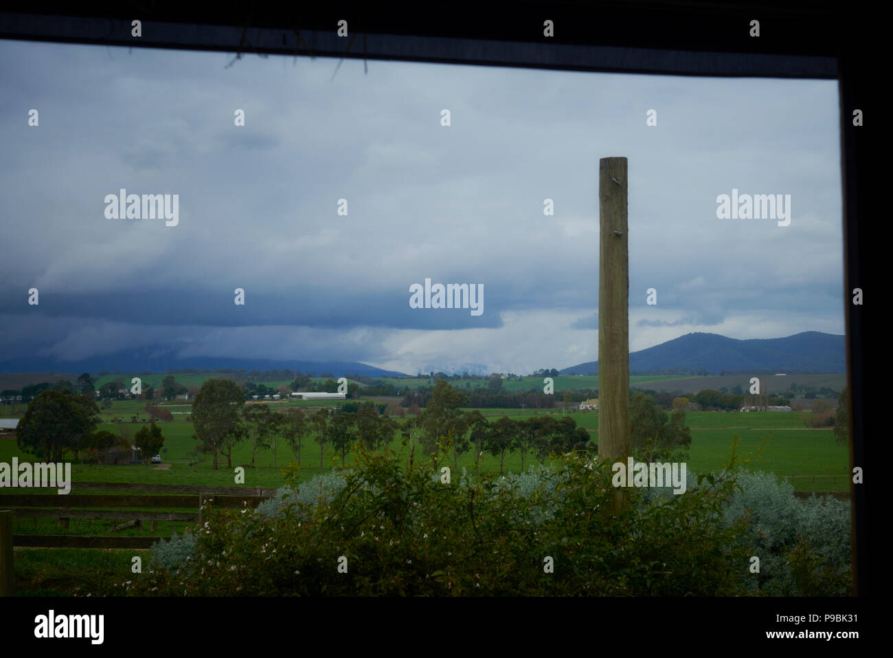 Una vista della terra dall'interno della Yarra Valley Dairy Foto Stock