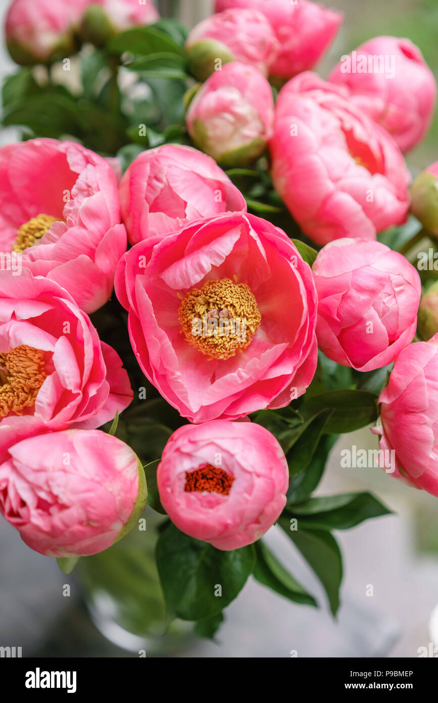Peonie rosa. Bella estate bouquet. Composizione floreale. Carta da parati. Bei fiori in vaso di vetro. Foto Stock