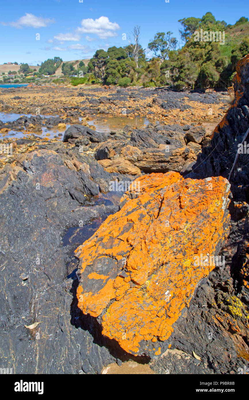 La Bass Strait costa a Penguin Foto Stock