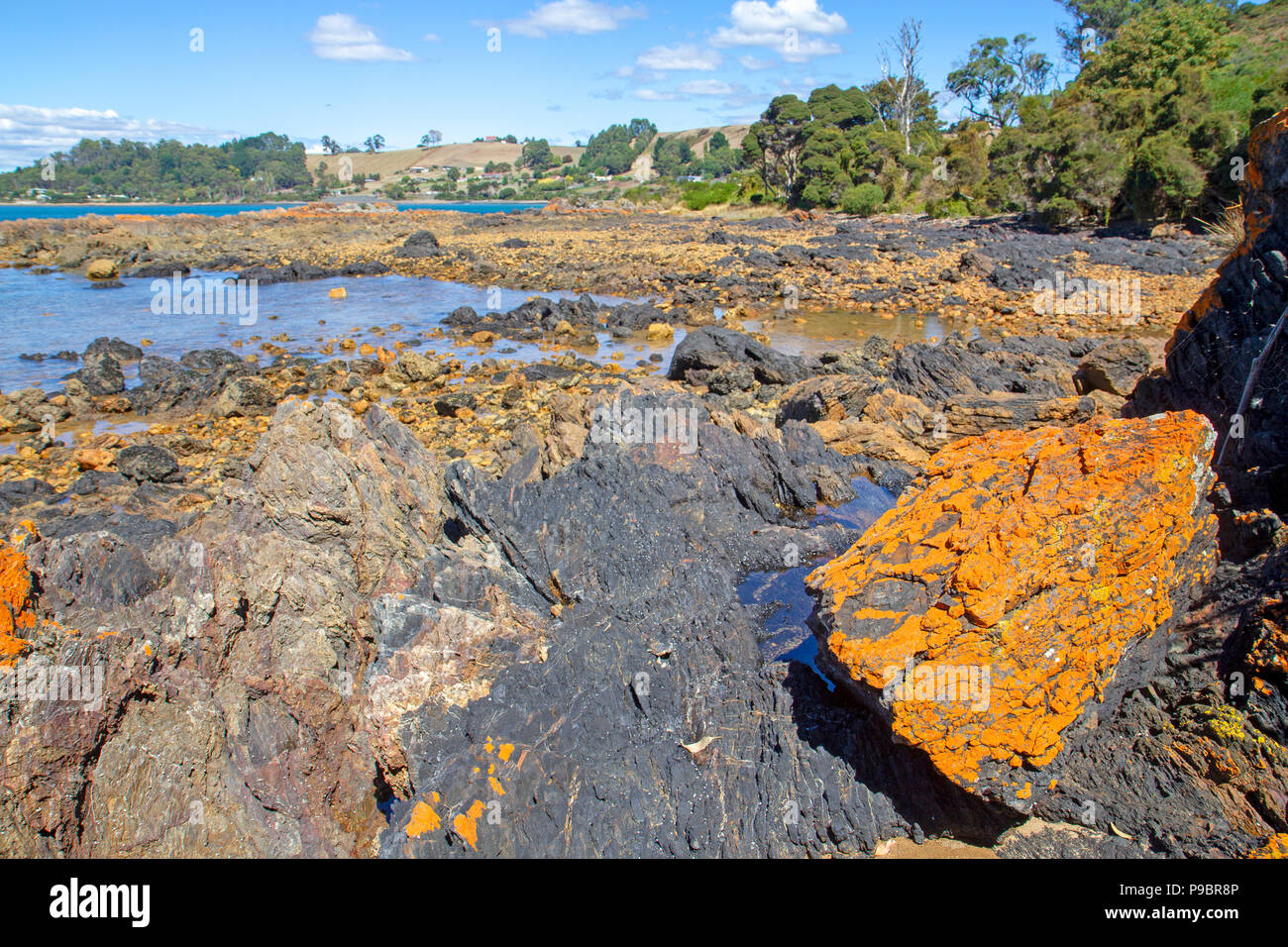 La Bass Strait costa a Penguin Foto Stock