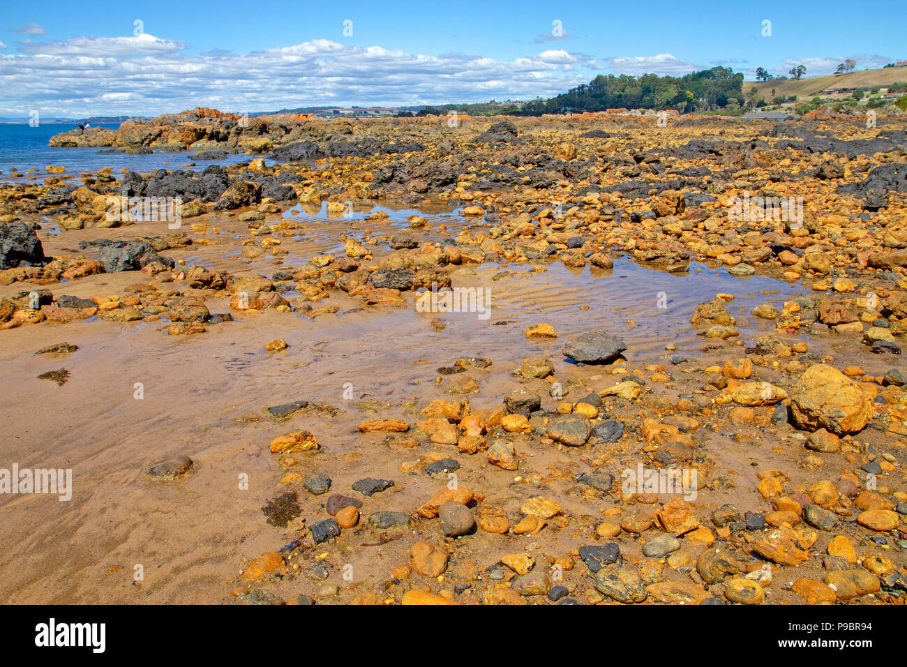 La Bass Strait costa a Penguin Foto Stock