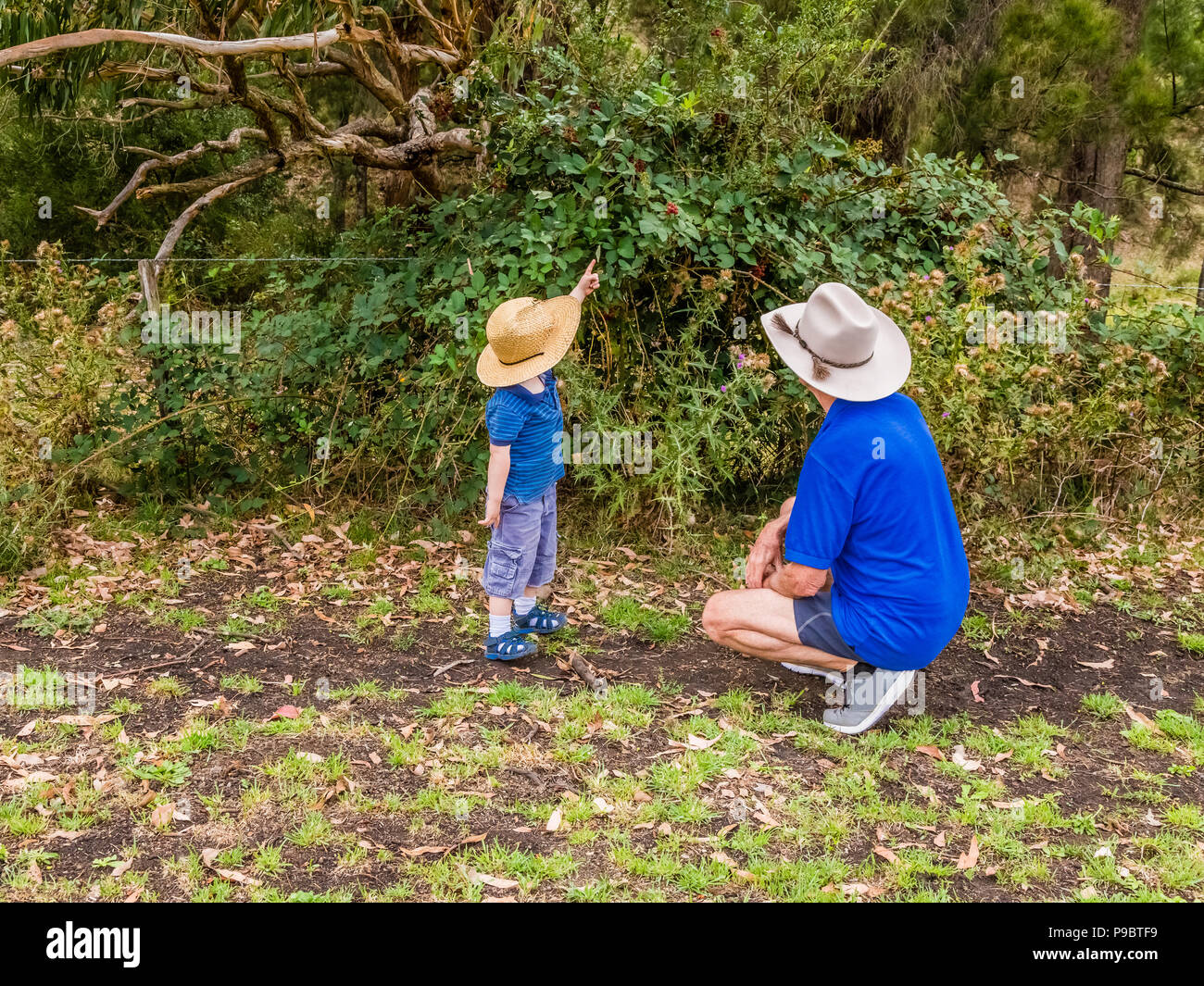 Piccolo Ragazzo che mostra il suo nonno dove le more sono sulla bussola nella campagna australiana. Foto Stock