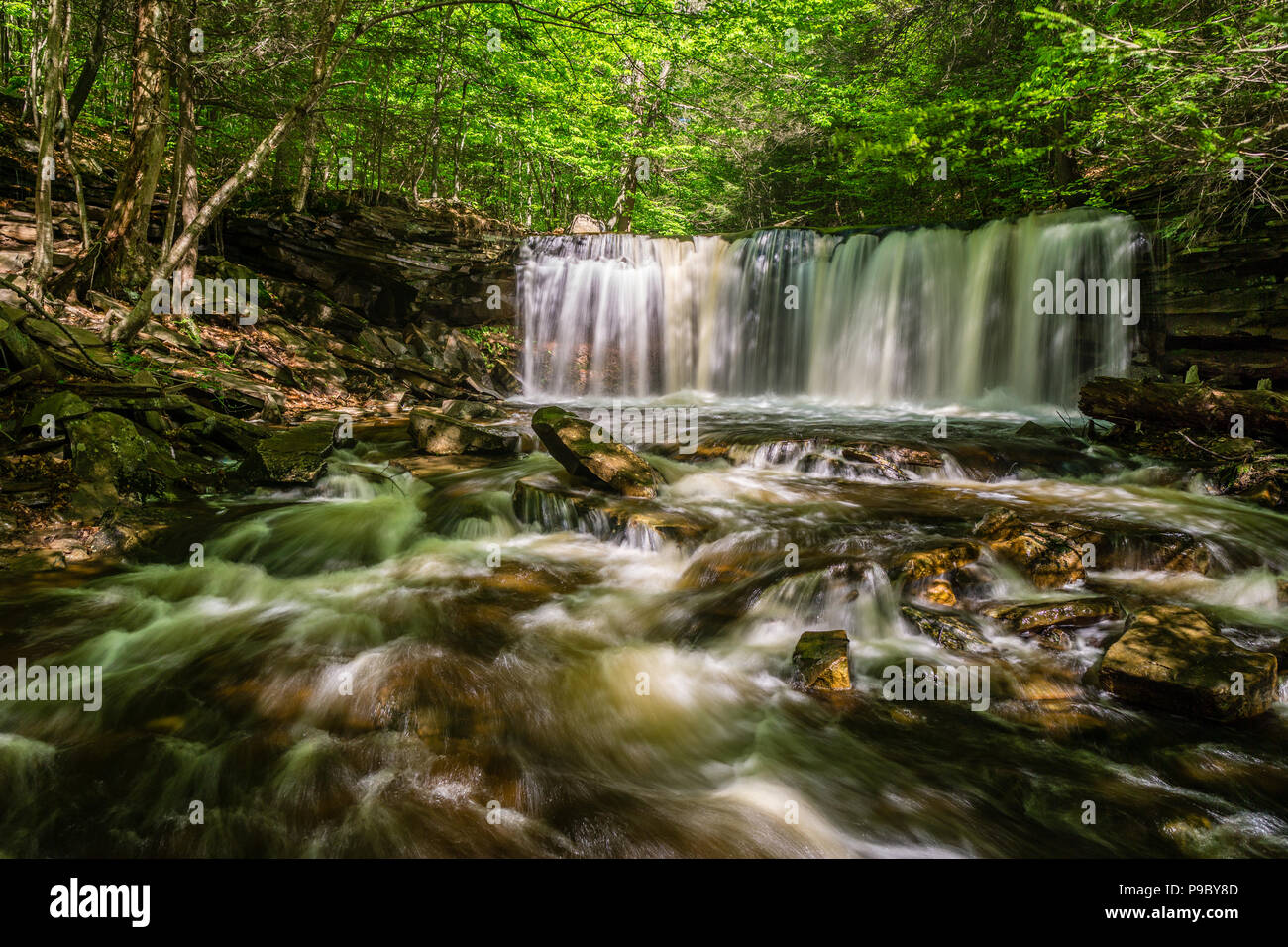 Oneida Falls, Ricketts Glen State Park, Benton, Pennsylvania, STATI UNITI D'AMERICA Foto Stock