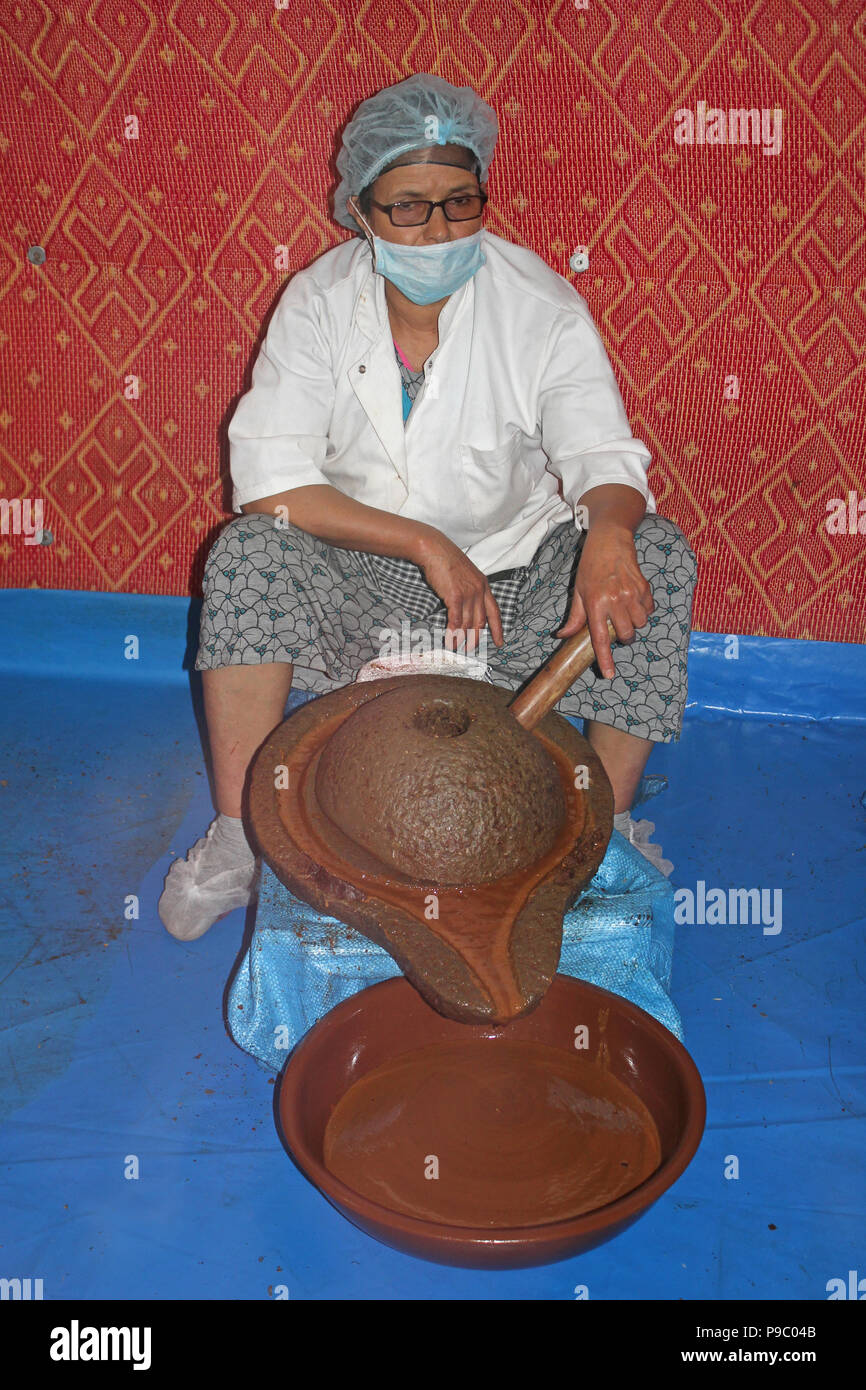 Olio di Argan estrazione Foto Stock