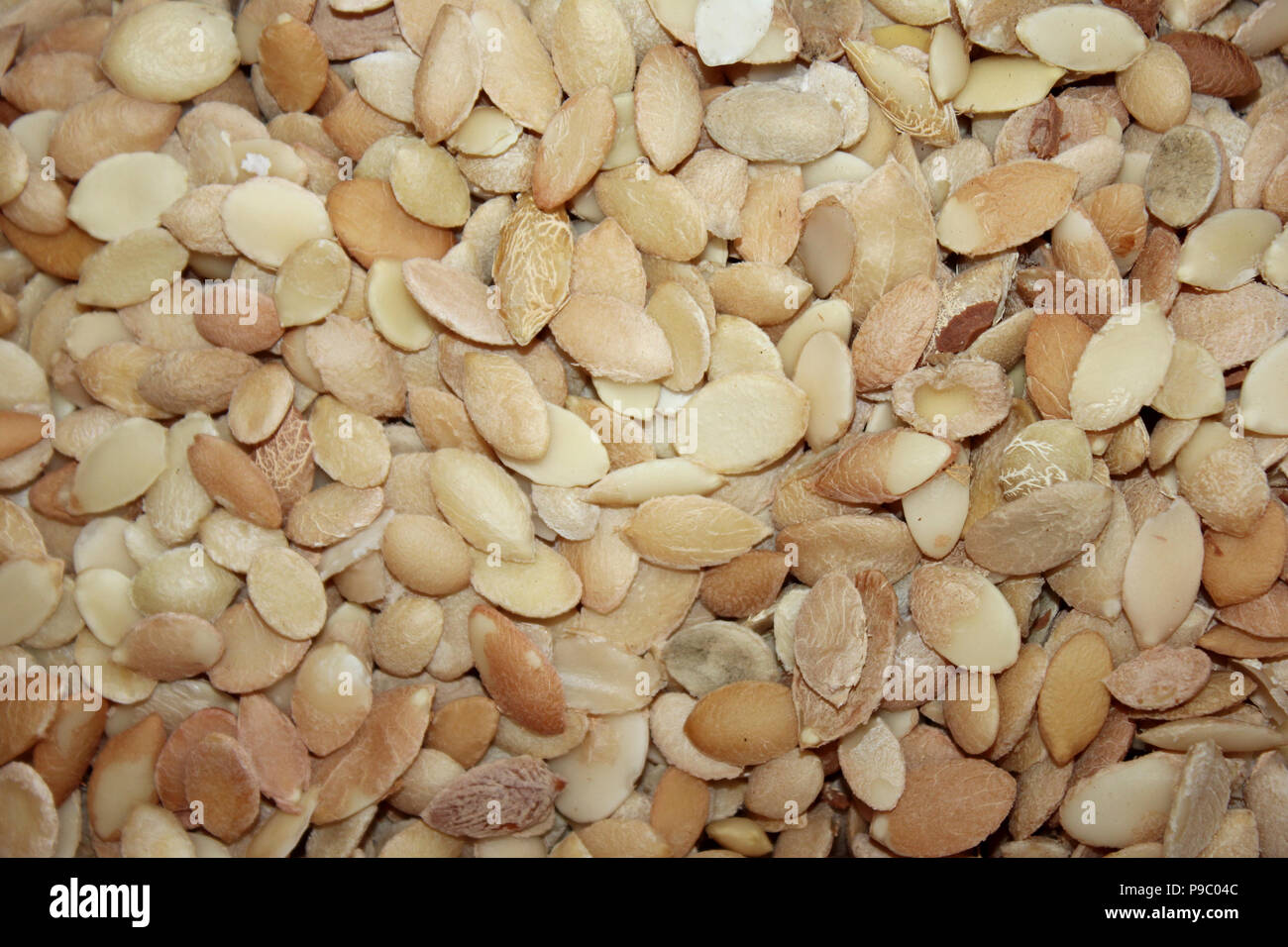 I kernel di Argan Foto Stock
