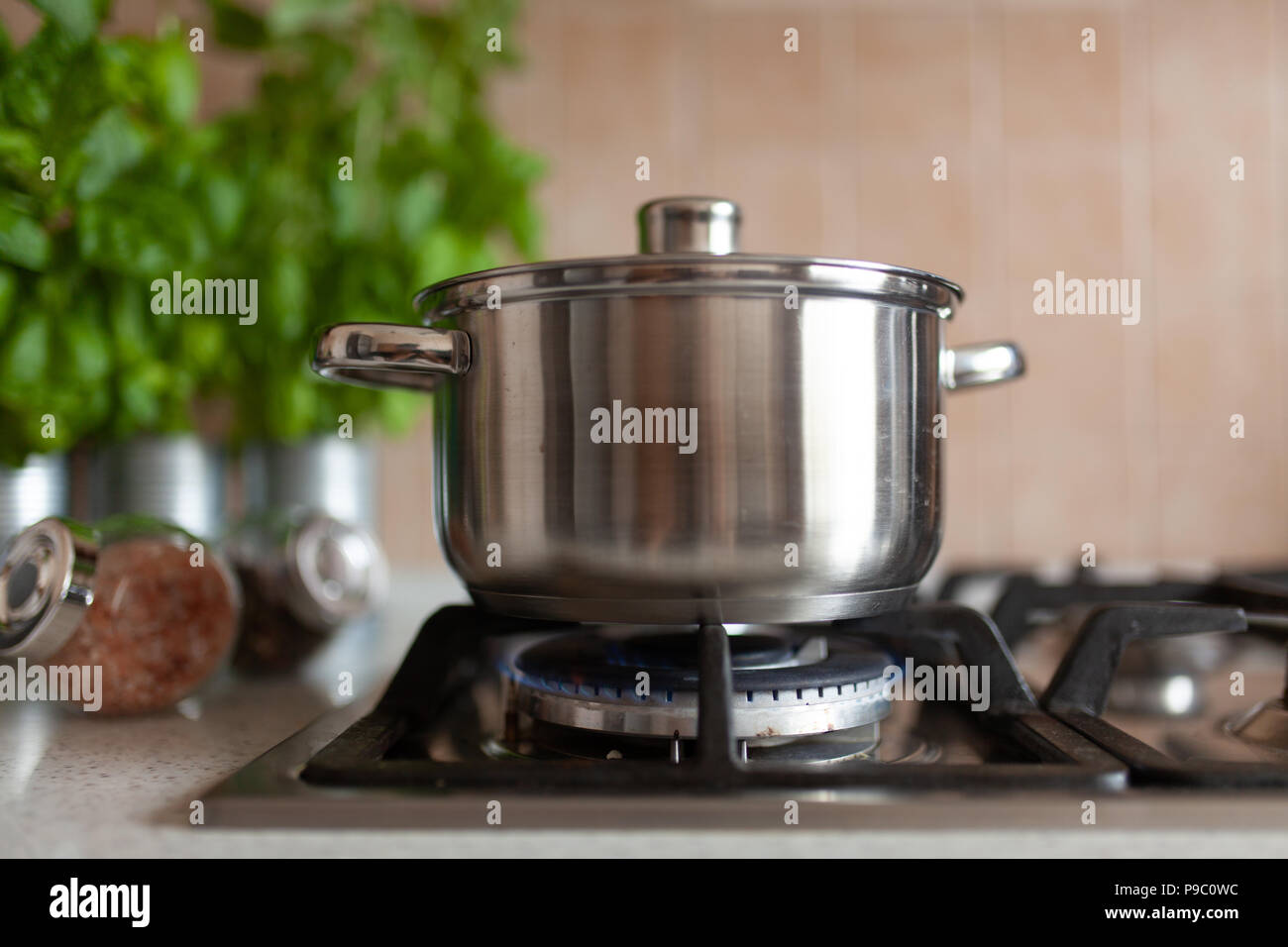 Cucinare gli spaghetti in una pentola Foto Stock