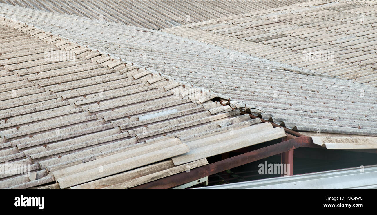 Tetto della fabbrica fatta di piastrella. Foto Stock