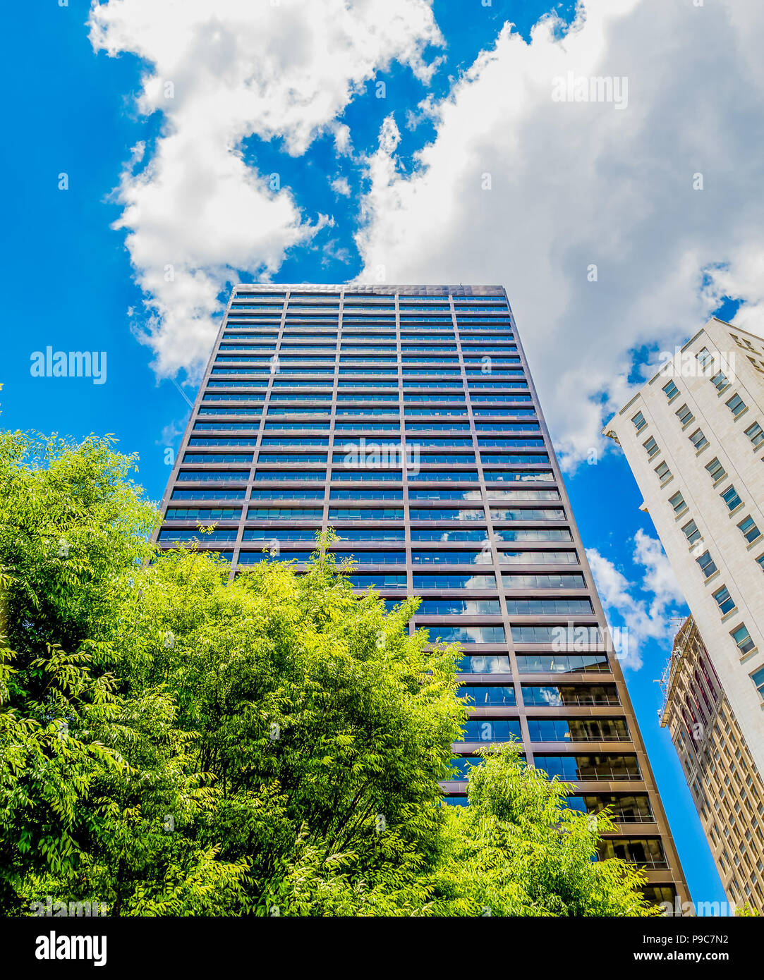 Vetro blu Torre fuori di alberi verdi Foto Stock