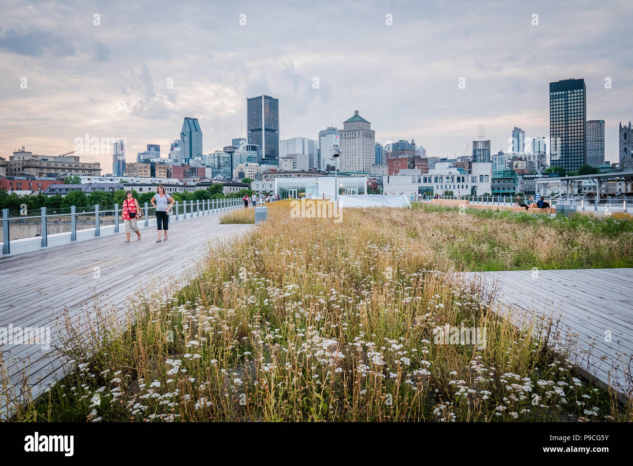 Il centro cittadino di Montreal Foto Stock