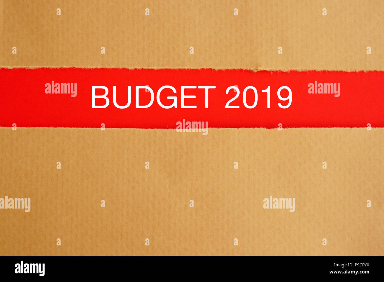 Bilancio 2019 sul seguito strappato carta marrone - concetto finanziario Foto Stock