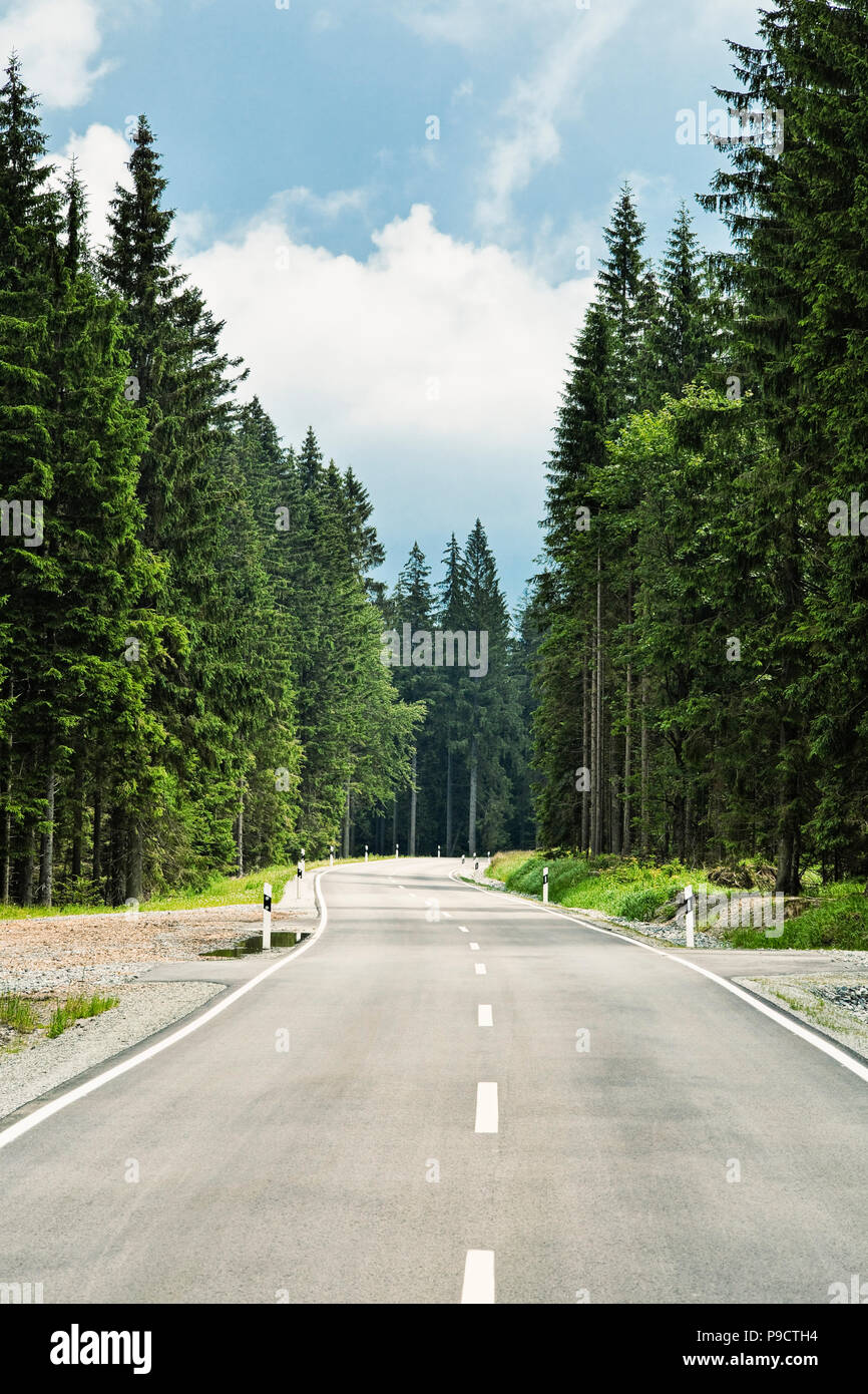 Aprire avvolgimento strada alberata attraverso una foresta in Baviera, Germania, Europa Foto Stock