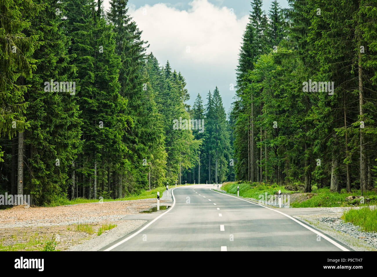 Aprire avvolgimento strada alberata attraverso una foresta in Baviera, Germania, Europa Foto Stock