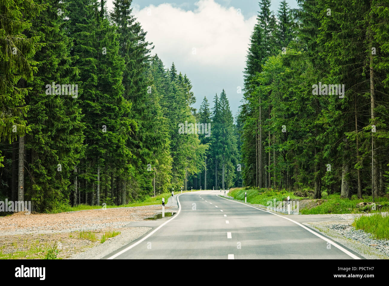 Strada alberata che si snoda lungo una strada forestale in Baviera, Germania, Europa Foto Stock