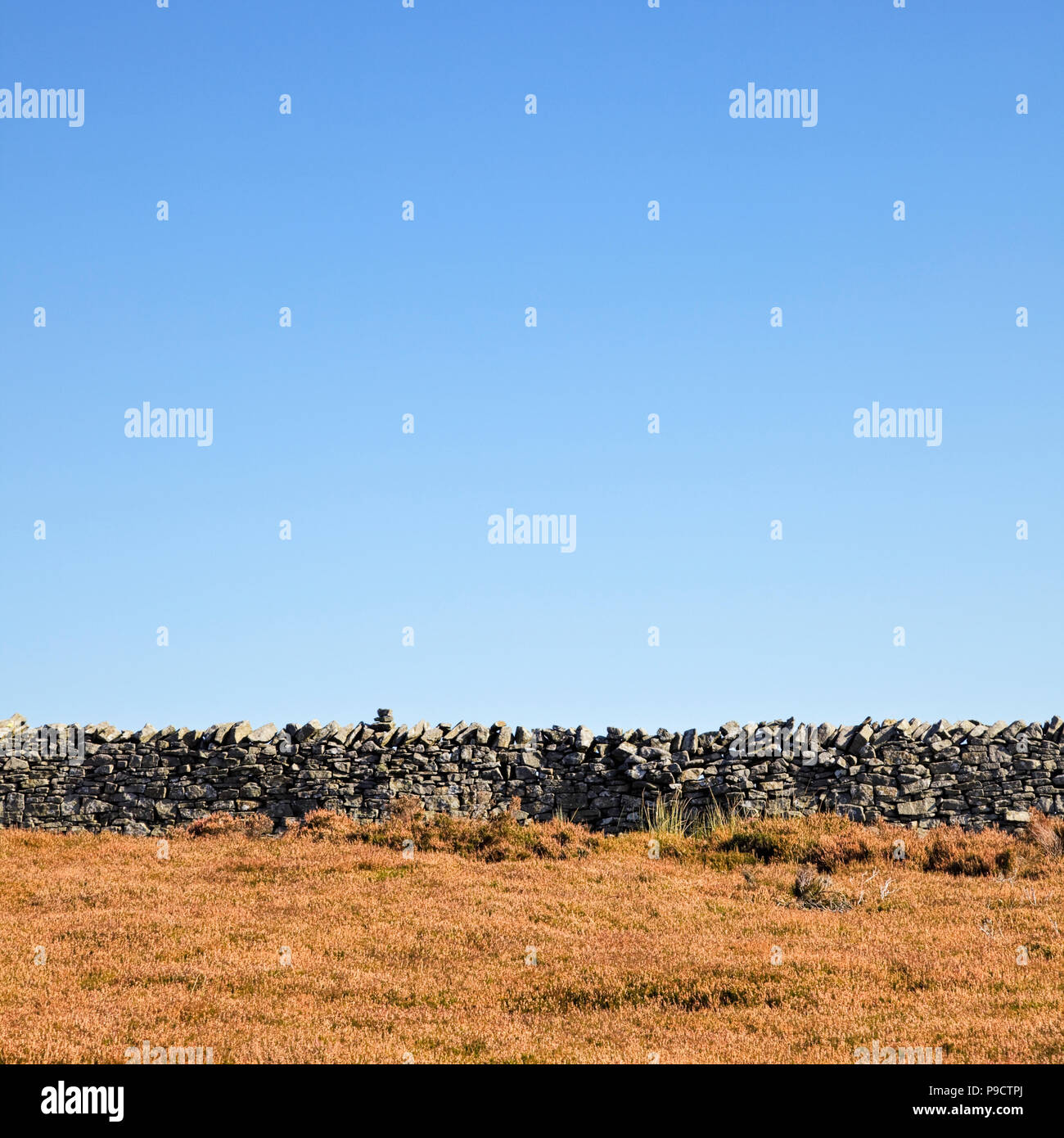 Tradizionale in pietra a secco sulla parete il Yorkshire Moors, England Regno Unito Foto Stock