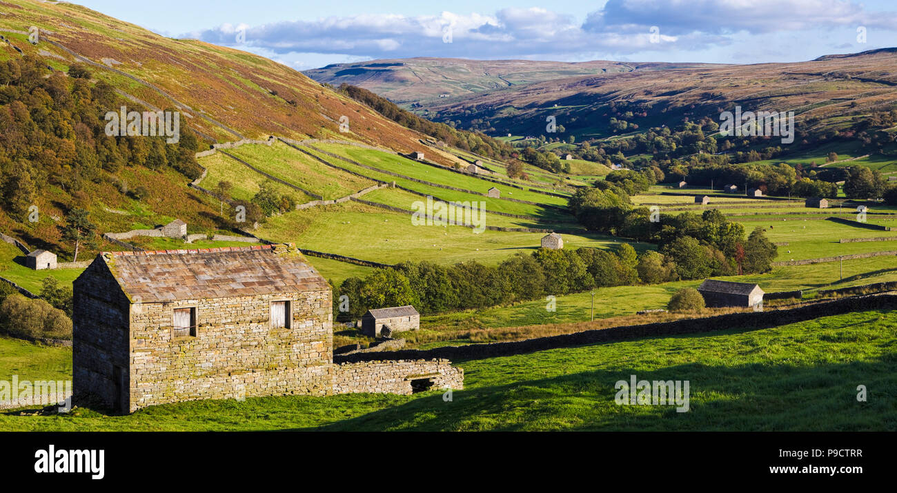 La splendida campagna inglese e paesaggio di Swaledale nel Yorkshire Dales National Park, England Regno Unito Foto Stock