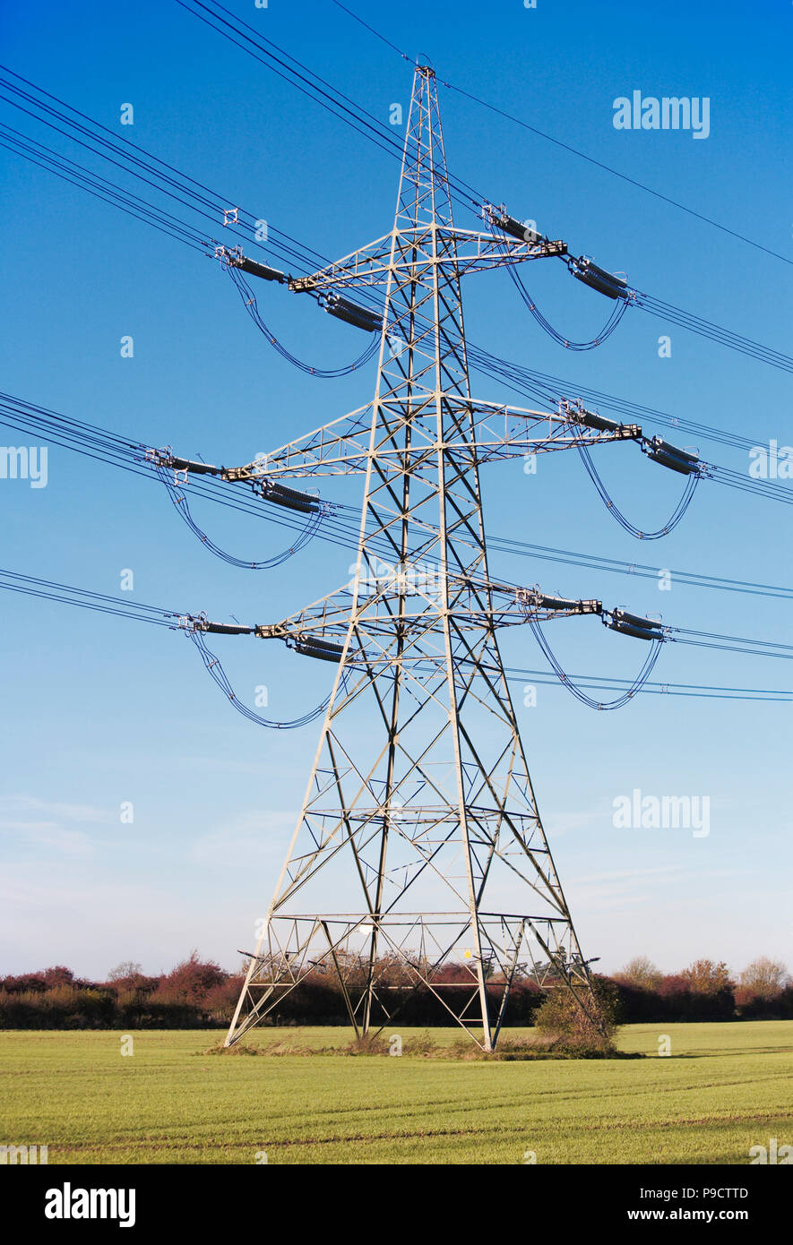 Palo rurale. Palo dell'elettricità di campagna in un campo di colture, Inghilterra, Regno Unito Foto Stock