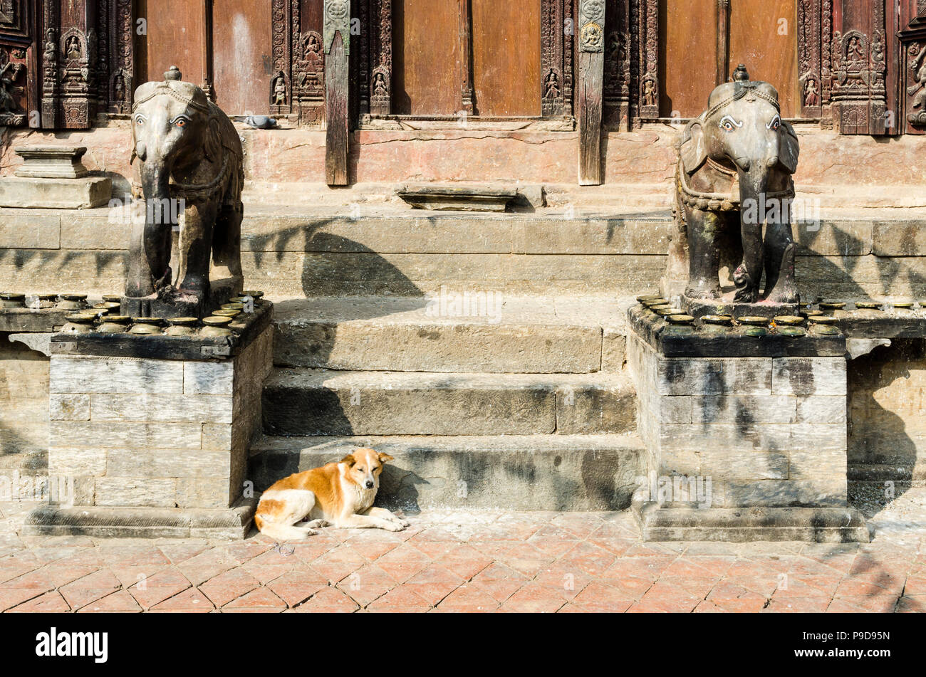 Cane che giace tra due elefanti in pietra sculture in Changu Narayan temple, valle di Kathmandu, Nepal Foto Stock