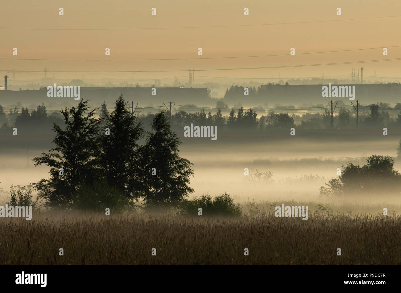 Ceduo di mattina nebbia nella periferia della città sullo sfondo delle linee di alimentazione Foto Stock