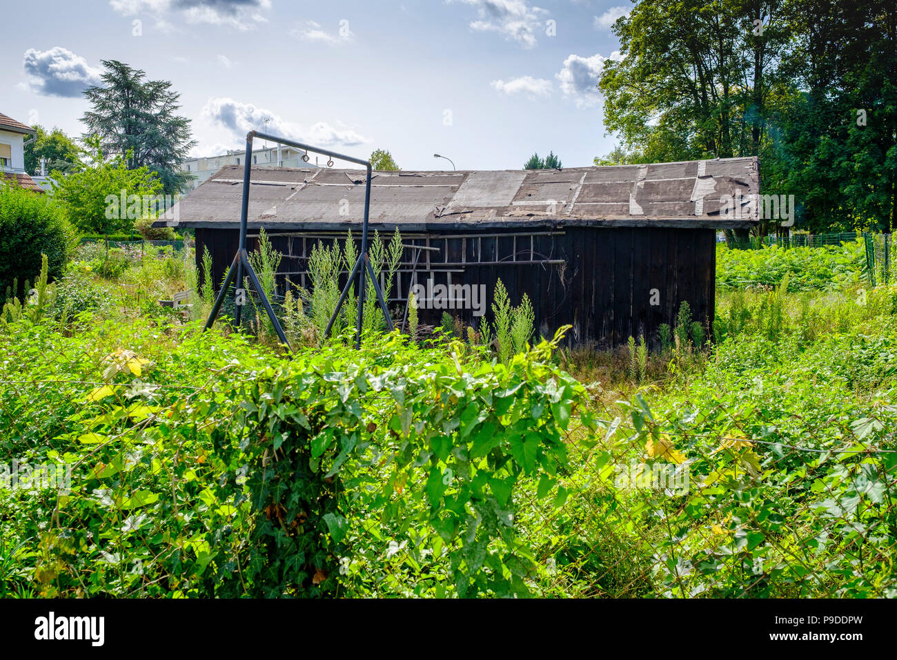 Sessione plenaria a Strasburgo dal giardino vecchio capannone, Alsazia, Francia, Europa Foto Stock