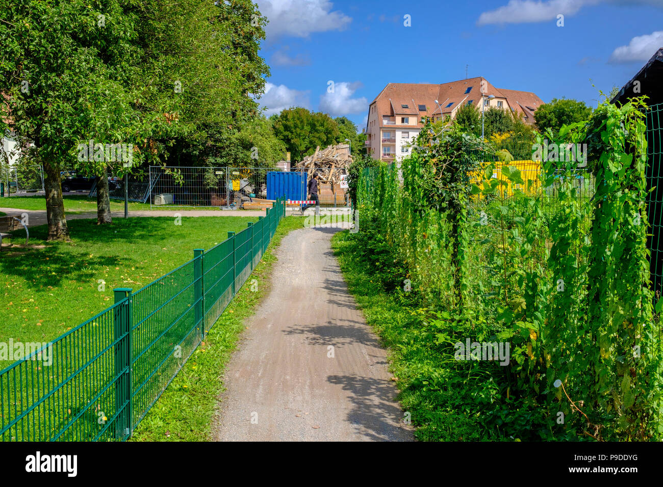 Strasburgo, sterrato tra giardini, edificio residenziale nella distanza, sobborgo, Alsazia, Francia, Europa Foto Stock