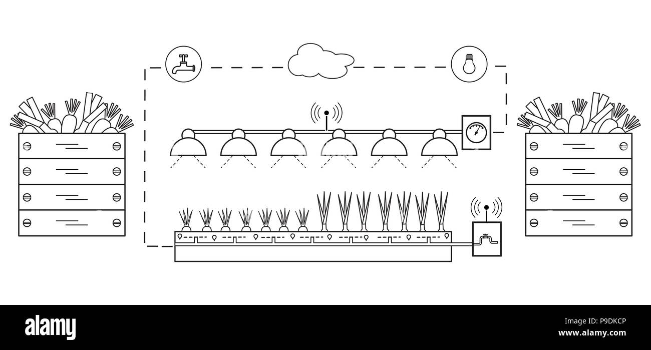 Smart farm e agricoltura. Il monitoraggio e il controllo della temperatura, umidità, luce livello. La coltivazione di piante. Le nuove tecnologie. Resa elevata. Illustrazione Vettoriale
