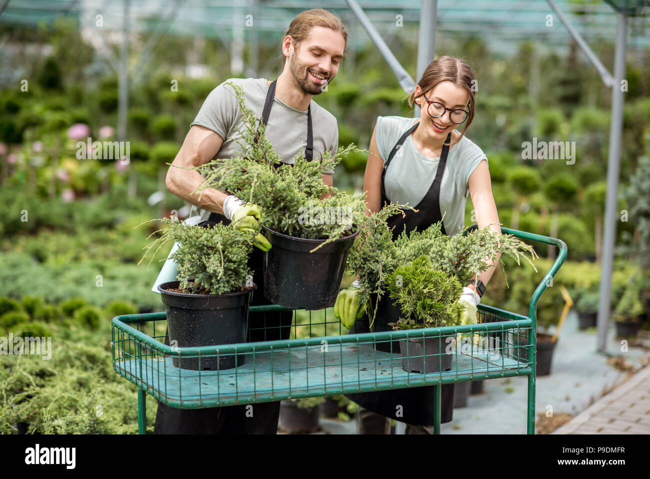 Lavoratori mettendo piante sul carrello Foto Stock