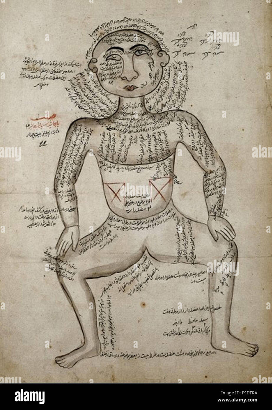 L0006436 muscoli del corpo umano, acquerello, persiano, XIX C Credito: Wellcome Library, Londra. Wellcome images@wellcome.ac.uk immagini anatomiche http://wellcomeimages.org illustrazione che mostra i muscoli del corpo umano. Schema di Persiano di MSS di Zakhira-ho Khvarazm Shahi di al-Jurjani e Tashrih-ho Mansuri di Mansur. Acquerello Pubblicato: - lavoro protetto da copyright disponibili sotto licenza Creative Commons by-nc 2.0 UK, vedere http://wellcomeimages.org/indexplus/page/Prices.html Foto Stock