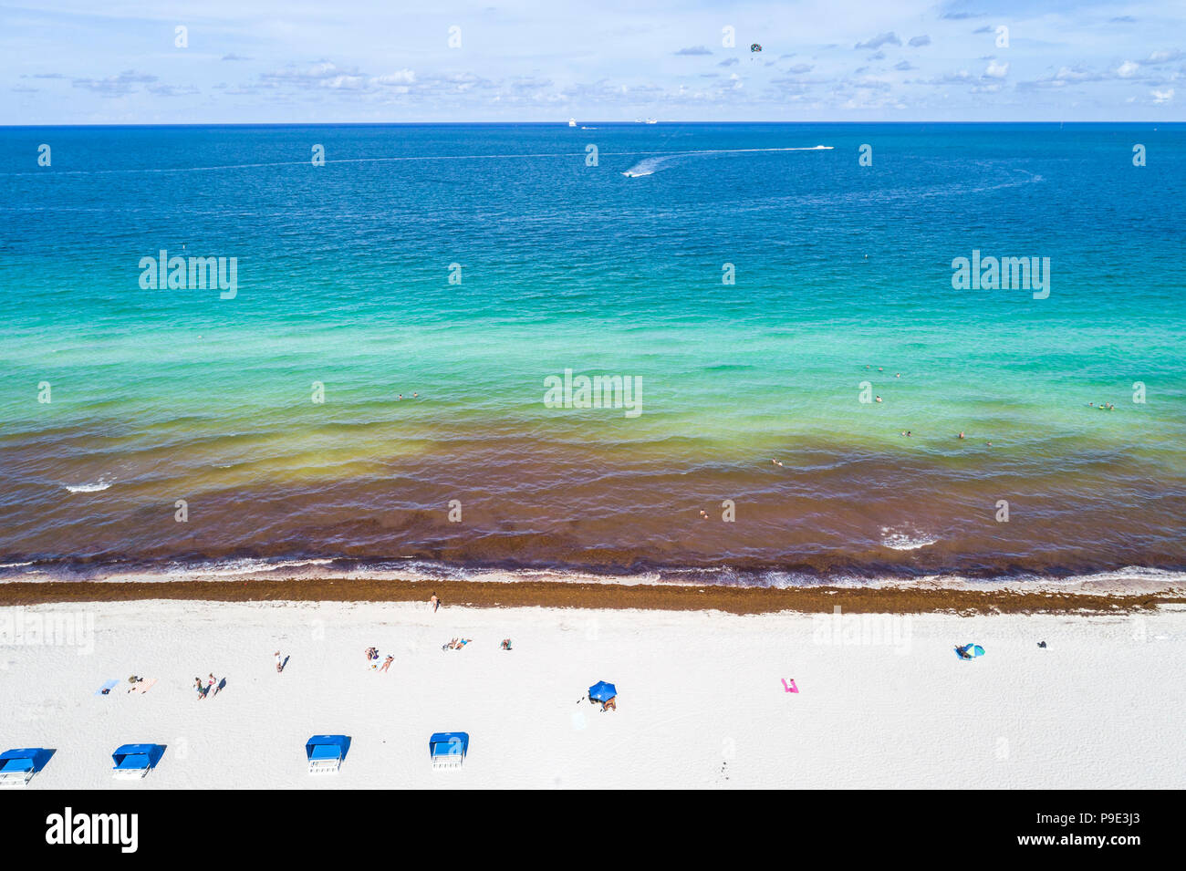 Miami Beach Florida, costa dell'Oceano Atlantico, alghe marine saragassum macrostae alghe marine detriti, riscaldamento globale effetti del cambiamento climatico, overh aereo Foto Stock