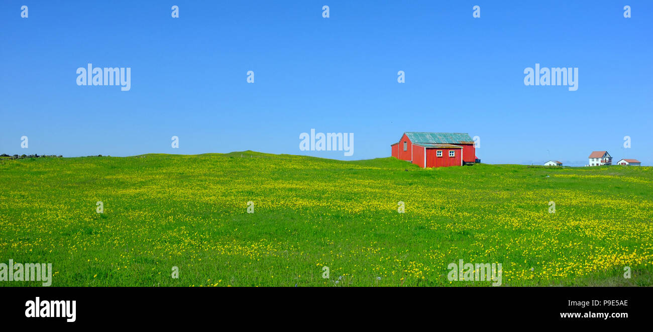 Una piccola capanna di rosso in un campo verde in Islanda Foto Stock