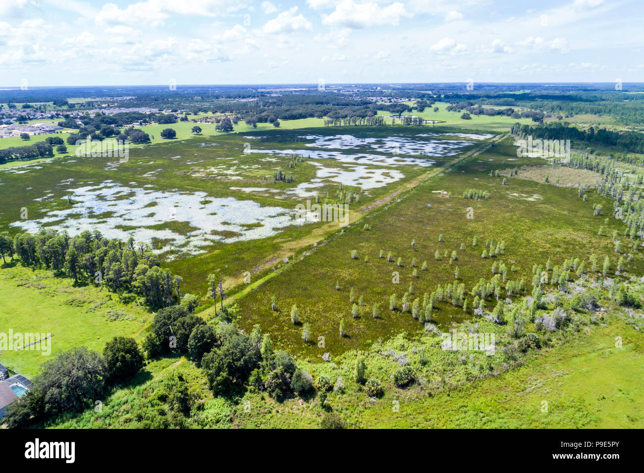 Orlando Florida,Davenport,Hilochee Wildlife Management Area zone umide altopiani bacini paludosi prateria umida,ecosistema Green Swamp,vista aerea dall'alto,FL1807 Foto Stock
